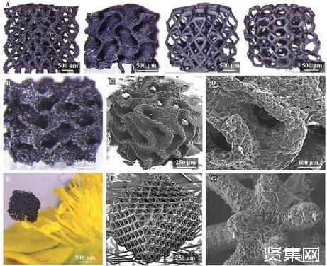 新工藝實現(xiàn)高分辨率、復(fù)雜石墨烯結(jié)構(gòu)的3D打印