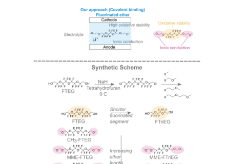具有高電化學穩(wěn)定性的新型離子導電氟化醚電解質