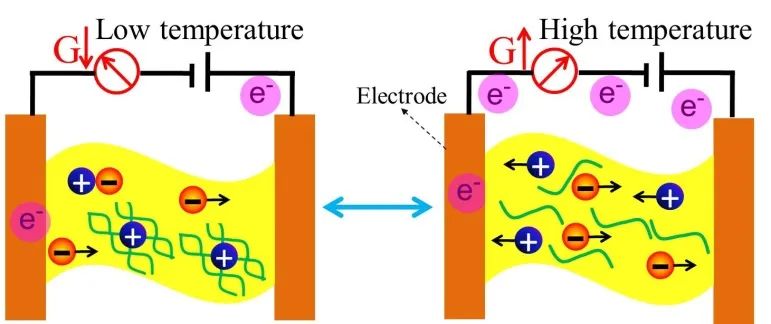 中山大學(xué)吳進(jìn)《ACS AMI》：基于熱穩(wěn)定、自修復(fù)有機水凝膠的高靈敏、可拉伸溫度傳感器