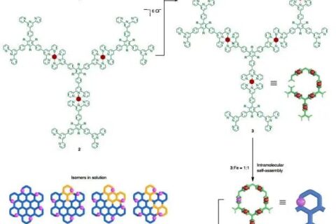 首次制備直徑為20 nm的六角形網格超分子