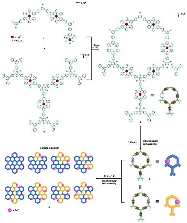 首次制備直徑為20 nm的六角形網(wǎng)格超分子