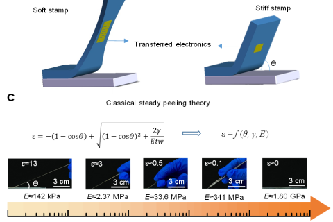 南方科技大學(xué)郭傳飛課題組在柔性電子轉(zhuǎn)移技術(shù)上取得進展