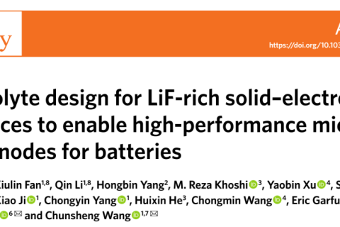 王春生《自然·能源》富LiF新型電解液的設(shè)計(jì)助力高性能微米級(jí)合金陽極電池