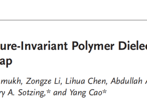 所見最佳柔性聚合物電介質(zhì)，適用于極端環(huán)境！