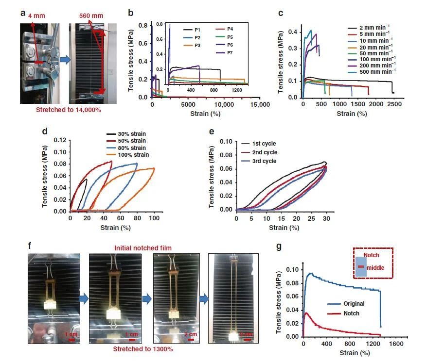 高度可拉伸自修復彈性體，可在各種極端條件下實現(xiàn)自修復