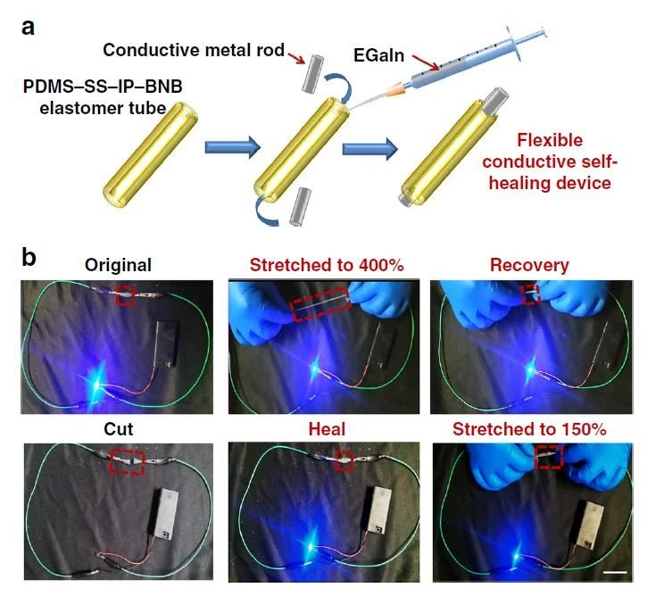 高度可拉伸自修復彈性體，可在各種極端條件下實現(xiàn)自修復
