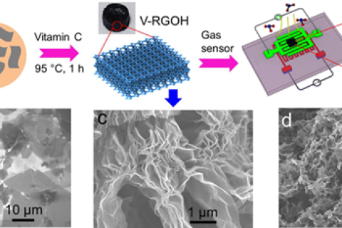 用于高性能氣體檢測的三維功能化石墨烯水凝膠，兼具三維和綠色合成！