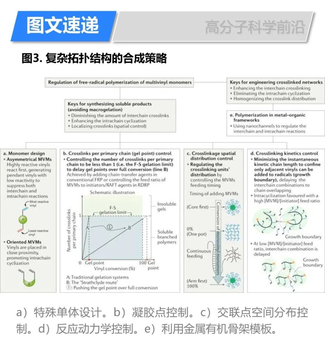 《自然綜述·化學(xué)》自由基聚合多乙烯基單體合成復(fù)雜拓?fù)浣Y(jié)構(gòu)高分子