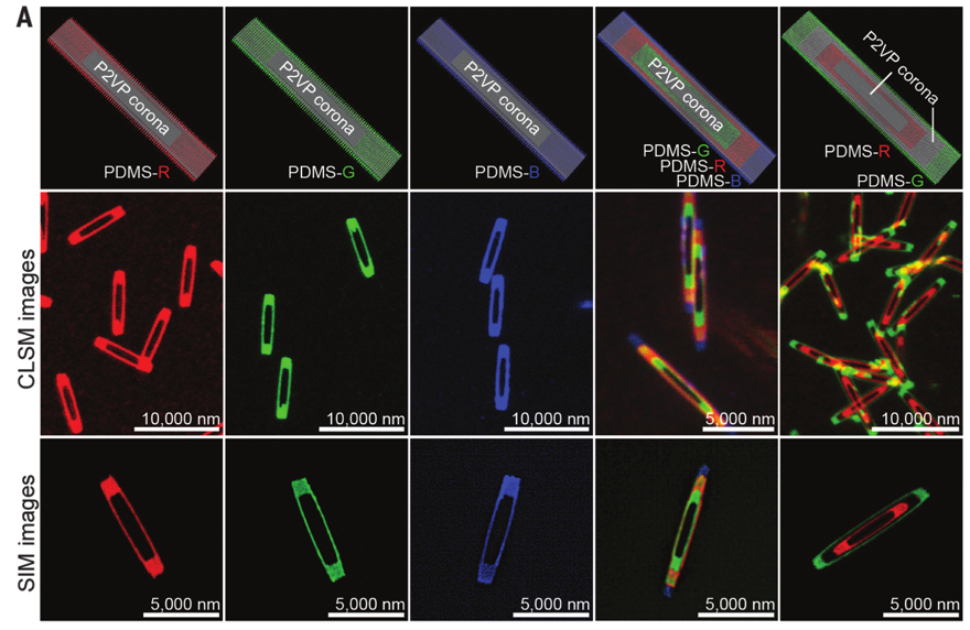 1個(gè)體系做了十余年，磨出5篇《Science》！這些膠束形貌美到令人窒息！
