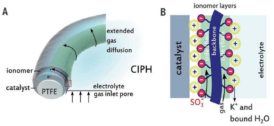 震撼！僅2個(gè)月，發(fā)表1篇Science，10余篇子刊/AM/JACS—加拿大兩院院士Sargent教授成果集錦