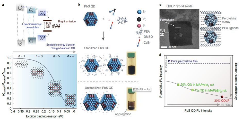 震撼！僅2個(gè)月，發(fā)表1篇Science，10余篇子刊/AM/JACS—加拿大兩院院士Sargent教授成果集錦