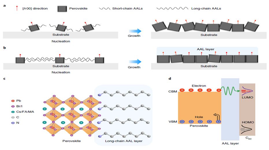 震撼！僅2個(gè)月，發(fā)表1篇Science，10余篇子刊/AM/JACS—加拿大兩院院士Sargent教授成果集錦