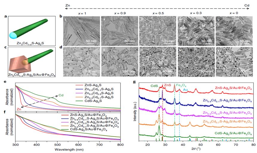 震撼！僅2個(gè)月，發(fā)表1篇Science，10余篇子刊/AM/JACS—加拿大兩院院士Sargent教授成果集錦