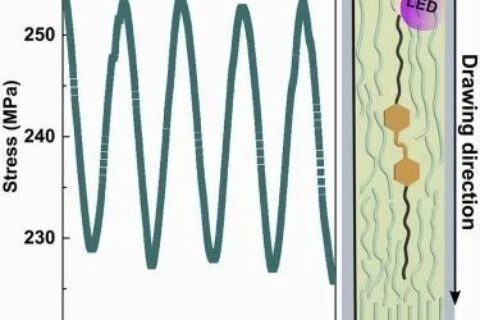 ?Matter最新研究：就這么簡單，柔性聚合物拉一拉就變剛性致動器