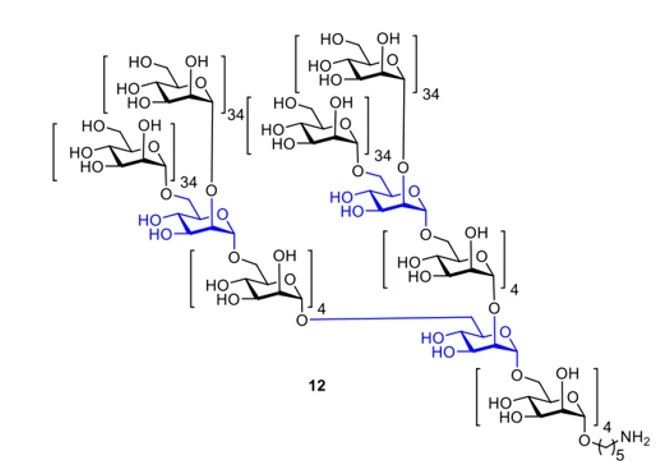 《Nature》譽(yù)為“糖之父”的Seeberger打破世界紀(jì)錄，史上最長(zhǎng)人工合成多糖！