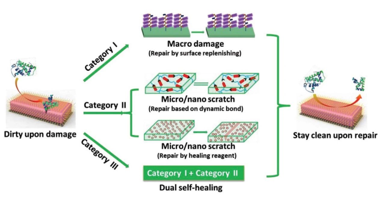 自修復防污材料的最新研究進展