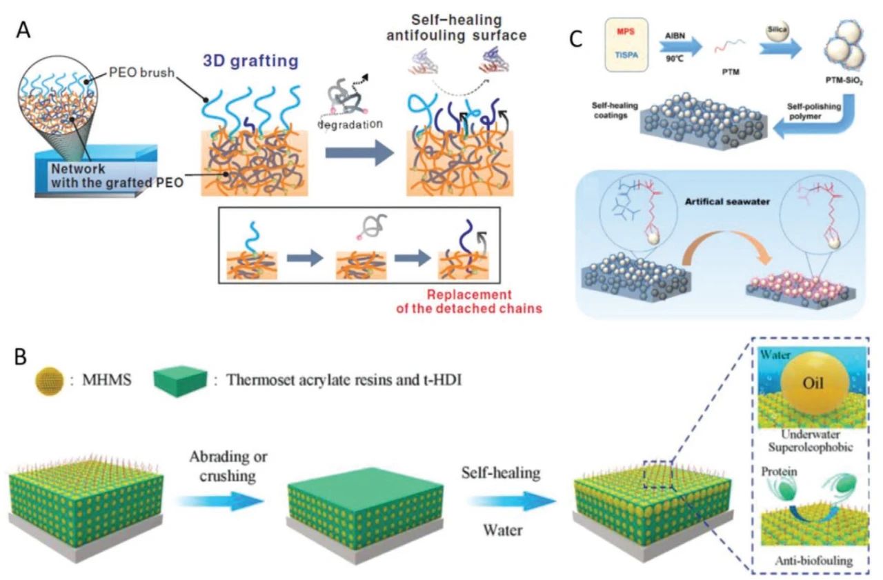 自修復防污材料的最新研究進展