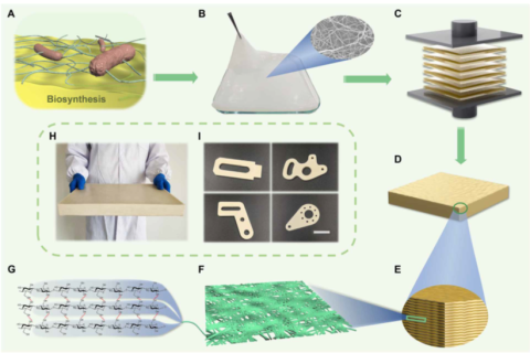 中科大俞書宏院士團隊：又輕、又強、又韌、又尺寸穩(wěn)定的纖維素基結(jié)構(gòu)材料