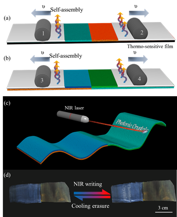 北京化工大學(xué)魏杰教授團(tuán)隊：“永不褪色”的實時近紅外光響應(yīng)結(jié)構(gòu)色柔性屏幕