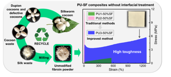武漢紡織大學(xué)徐衛(wèi)林教授團(tuán)隊(duì)《ACS AMI》：廢棄蠶絲再遇聚氨酯