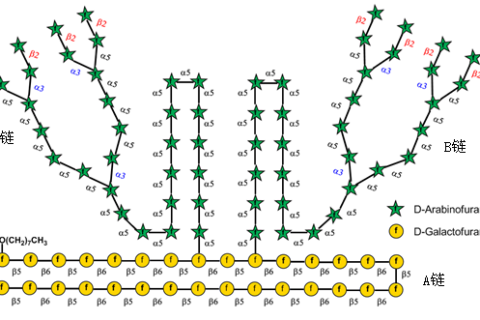 《Nature》譽為“糖之父”的Seeberger打破世界紀(jì)錄，史上最長人工合成多糖！