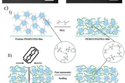 《AFM》：加點PEG，導(dǎo)電高分子實現(xiàn)自修復(fù)！