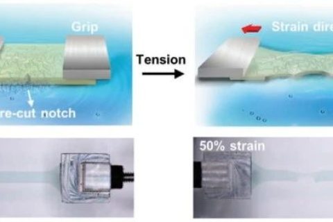 史上最柔！新型抗撕裂、自愈合柔性半導(dǎo)體！