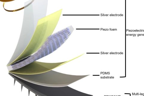 香港城大的無源遠程感知多足機器人，將開拓生物醫(yī)學檢測新應用