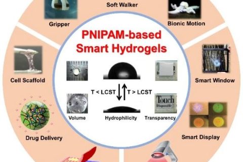 天津大學(xué)封偉教授團(tuán)隊(duì)在PMS上全面綜述PNIPAM基智能水凝膠