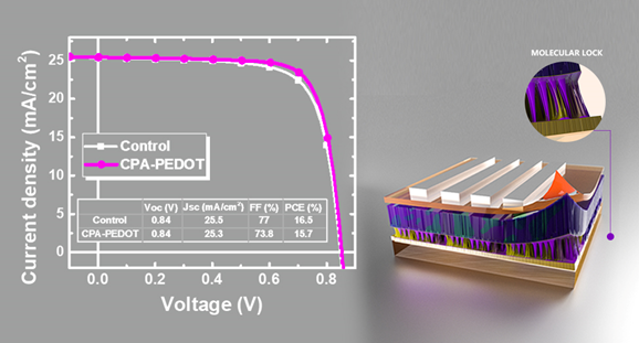 重慶大學孫寬/中科院重慶研究院陸仕榮：給有機光伏電池界面加把分子鎖