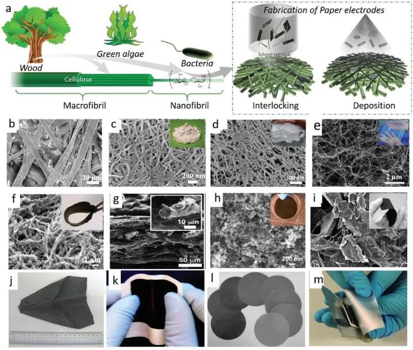《先進(jìn)材料》綜述：為什么要用纖維素？纖維素基電化學(xué)儲能器件的優(yōu)勢何在？