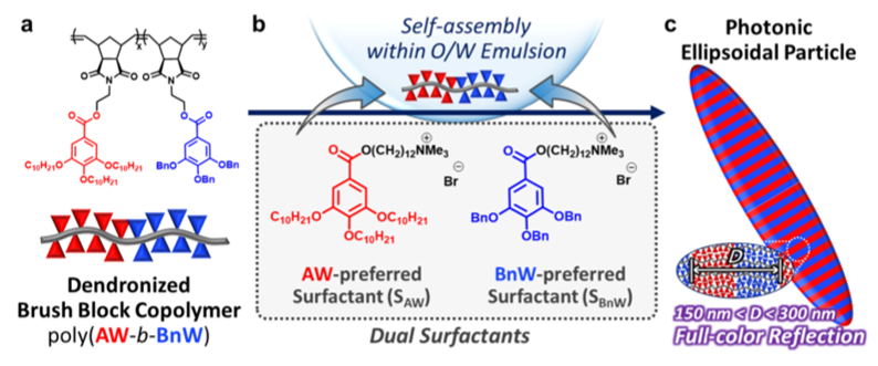 Tim Swager院士《JACS》：全光譜轉(zhuǎn)換的橢球形聚合物光子晶體粒子！
