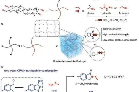 陳學(xué)思院士團(tuán)隊(duì)：固含低至1%！超快制備高強(qiáng)度可降解水凝膠