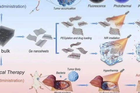 哈佛大學(xué)首用鍺烯！《Matter》鍺烯水凝膠用于抗腫瘤復(fù)發(fā)和傷口感染