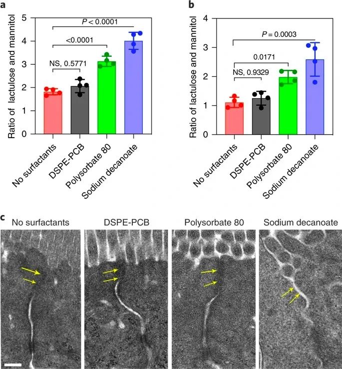 美國(guó)韋恩州立大學(xué)曹智強(qiáng)《Nat.Nanotech.》:高效口服胰島素問(wèn)世，兩性膠束遞送胰島素?zé)o需打開(kāi)緊密連接