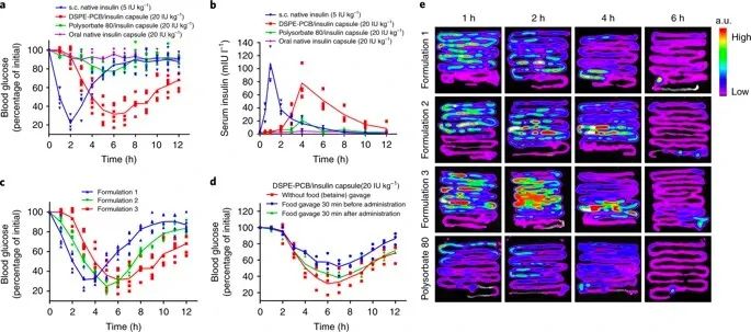 美國(guó)韋恩州立大學(xué)曹智強(qiáng)《Nat.Nanotech.》:高效口服胰島素問(wèn)世，兩性膠束遞送胰島素?zé)o需打開(kāi)緊密連接