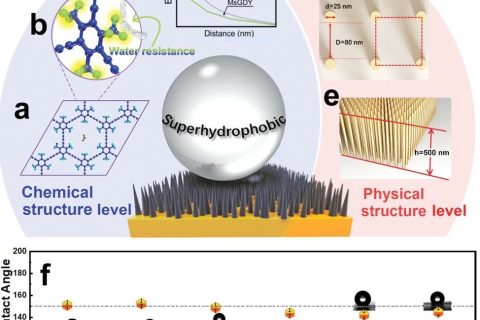中科院青能所黃長(zhǎng)水《Small》：超穩(wěn)定超疏水石墨炔陣列，800天接觸角基本無(wú)變化！
