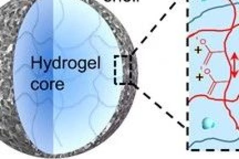 佐治亞理工謝興團隊：高分子復合材料實現自驅動膜分離過程