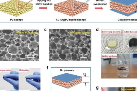 挑戰(zhàn)靈敏度極限！《AFM》：用于超高靈敏度壓力和應(yīng)變電容傳感器的泡沫復(fù)合介電材料