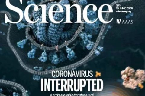 了不起！90后副教授在《science》上發(fā)表評述論文