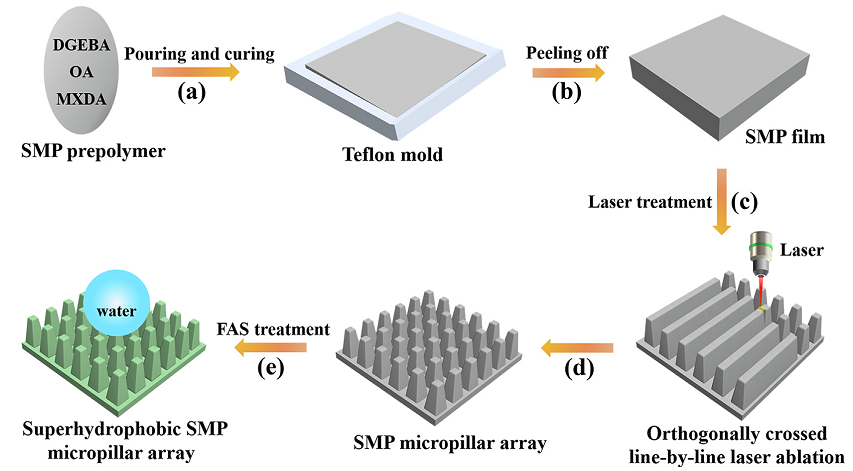 西安交通大學(xué)陳烽教授團(tuán)隊：飛秒激光構(gòu)建可調(diào)超疏水形狀記憶微結(jié)構(gòu)