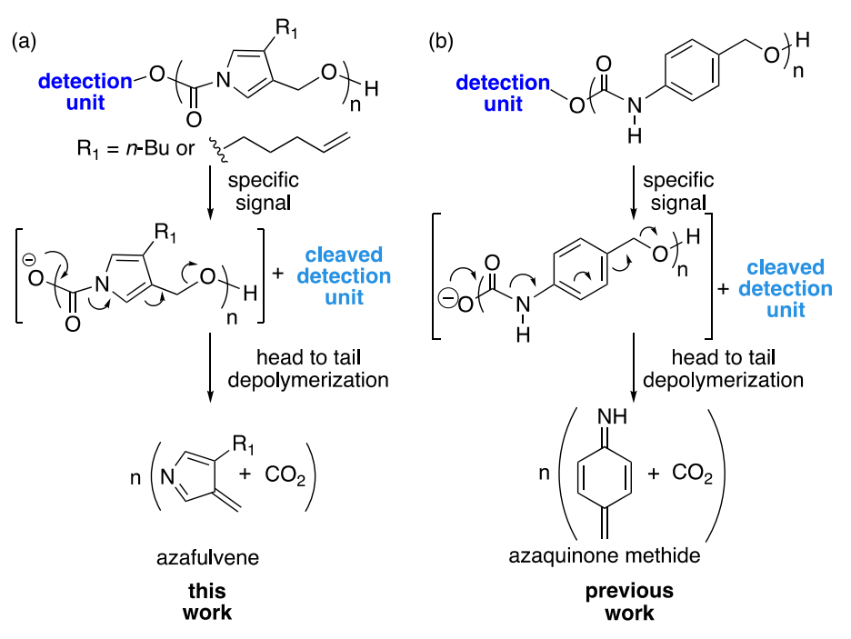 《JACS》： 像解拉鏈一樣輕松，聚合物30分鐘解聚為小分子