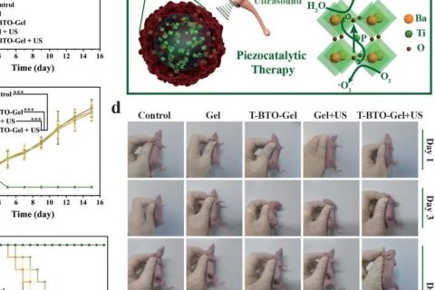 施劍林院士、陳雨研究員《先進材料》：超聲引發(fā)鈦酸鋇壓電性用于無創(chuàng)壓電催化腫瘤療法