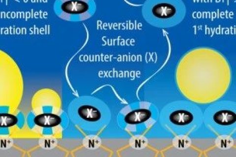 吉林大學汪大洋教授《德國應化》：陰離子水合作用新發(fā)現(xiàn)！可用于制備自清潔涂層