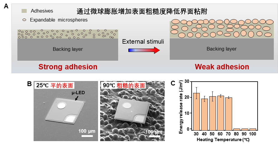 ?浙大學(xué)者研發(fā)超薄功能器件大面積、可編程轉(zhuǎn)印技術(shù)