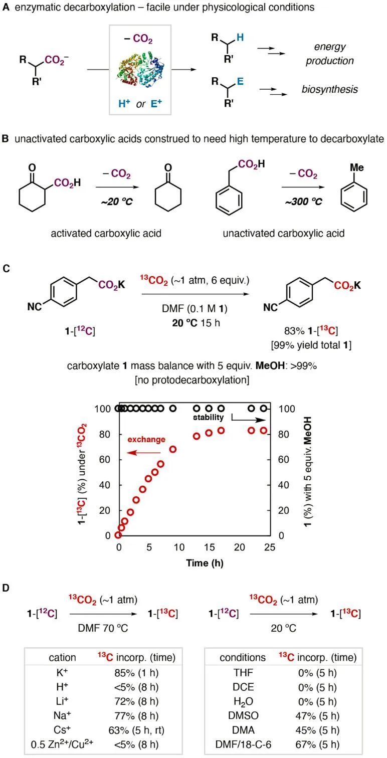 重磅！《Science》報道脫羧反應(yīng)領(lǐng)域里程碑突破！