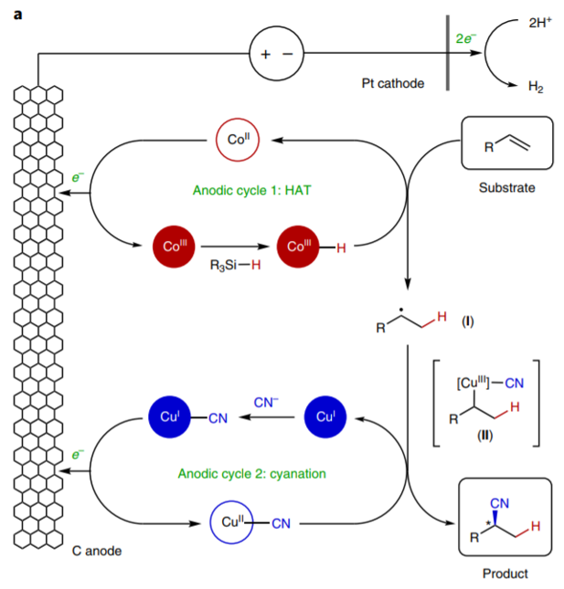美國(guó)康奈爾大學(xué)林松團(tuán)隊(duì)《自然·化學(xué)》:電驅(qū)動(dòng)雙金屬催化共軛烯烴氫氰化反應(yīng)