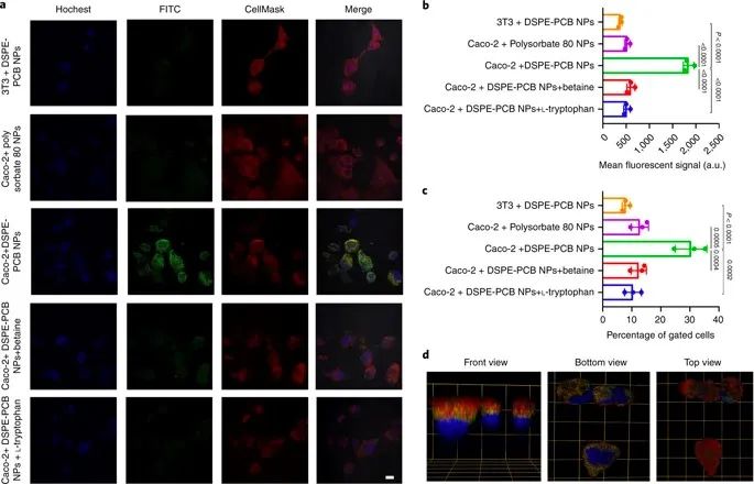 美國(guó)韋恩州立大學(xué)曹智強(qiáng)《Nat.Nanotech.》:高效口服胰島素問(wèn)世，兩性膠束遞送胰島素?zé)o需打開(kāi)緊密連接