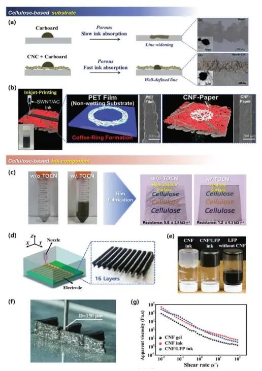 《先進(jìn)材料》綜述：為什么要用纖維素？纖維素基電化學(xué)儲能器件的優(yōu)勢何在？