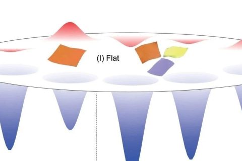 浙江大學(xué)許震、高超與清華大學(xué)徐志平合作《Matter》：單層氧化石墨烯模型闡明二維大分子溶液構(gòu)象之謎